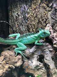 -酷嗒动物文化乐园(cutezoo西溪乐天城店)