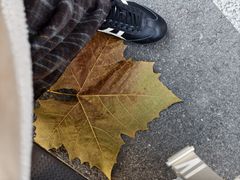 -煲珠公·老红糖珍珠奶茶(长宁龙之梦店)