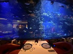 -迪拜帆船酒店海底餐厅
