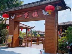 -一煲鸽