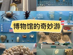 -国家自然博物馆
