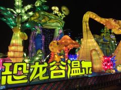 -常州环球恐龙城维景国际大酒店