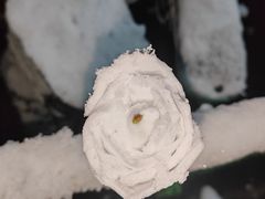 -海底捞火锅(方圆荟店)