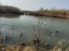 -九里湖国家湿地公园