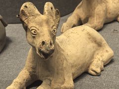 -广西壮族自治区博物馆