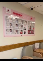 -北京新世纪妇幼医院·产检·分娩·计生(望京院区)