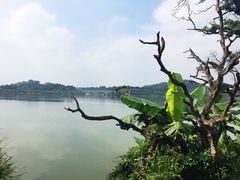 -鹤之洲湿地公园