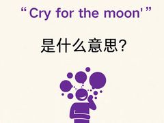 -I-Shine英语国际教育(御桥张江中心)