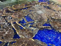 -渔民新村(番禺总店)