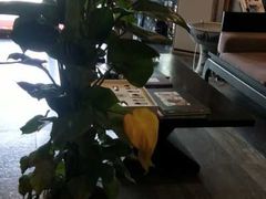 -北纬37°SPA养身会馆(湖西店)