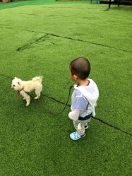 -萌宠亲子动物乐园(槐房万达店)