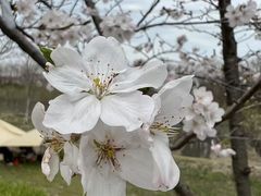 -长田漾湿地公园