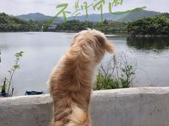 -阿哈湖国家湿地公园