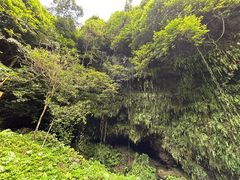 -海口火山口国家地质公园