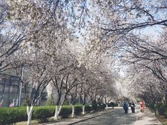 -山东师范大学(千佛山校区)