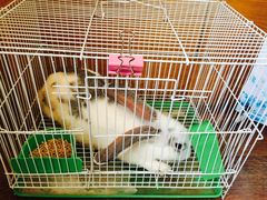 -臻吃客主题餐厅(人民路店)