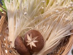-同仁四季椰子鸡(海岸城天利店)