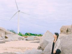 -汕尾风车岛