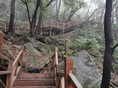 -大岭沟猕猴桃谷风景区