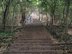 -紫金山山顶公园