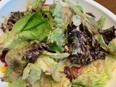 -泰康之家·申园