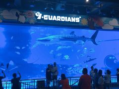 -烟台海昌鲸鲨海洋公园