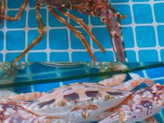 -三亚火车头万人海鲜广场