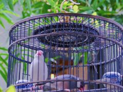 -31号公馆(黄兴广场白果园店)