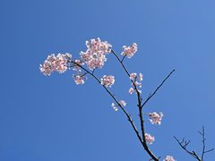 -新江湾城公园