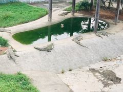 -无锡动物园·太湖欢乐园