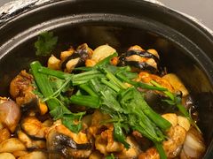 -金龙·打边炉(南京西路店)