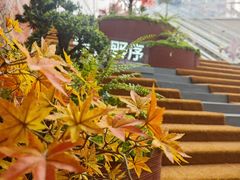 -石家庄万象城