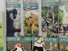 -海南热带野生动植物园