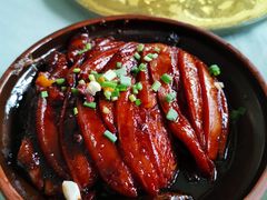 -食家鸽园