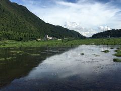 -腾冲北海湿地