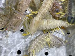 -南沙十九涌渔人码头-南门