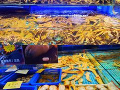 -驻海渔市(置信店)