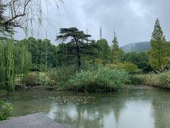 -习家池