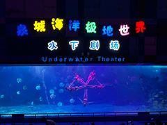 -泉城欧乐堡海洋极地世界