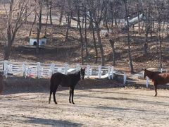 -金石滩蓝莓谷庄园