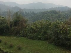 -雅安楠水阁温泉酒店