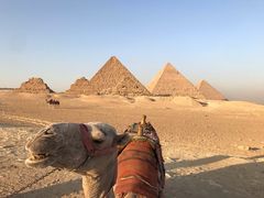 -吉萨金字塔群