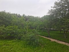-石家庄市植物园