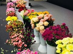 -中国电信(NJ鼓楼天翼广场店)