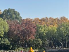 -莹珠阁·私房菜