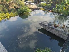 -厦门园林植物园-植物园滴水山房