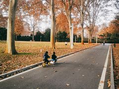 -河南省黄河迎宾馆