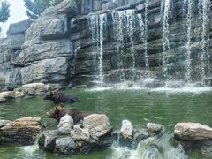 -北京野生动物园