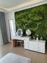 -POCO宝珂丽科技美肤