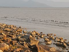 -深圳湾公园(南山区)